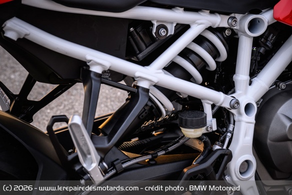 Sportive BMW F 450 RR