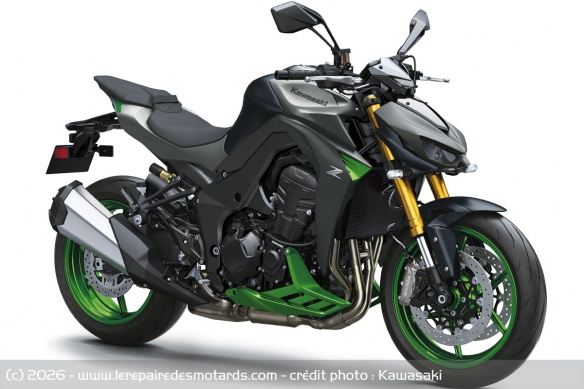 Kawasaki Z1100 SE