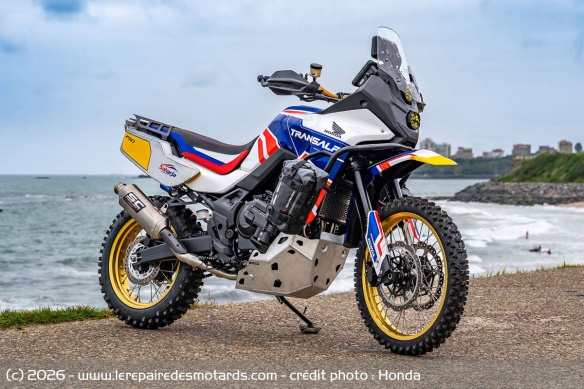 Saharja - Honda Italie x DRS Custom