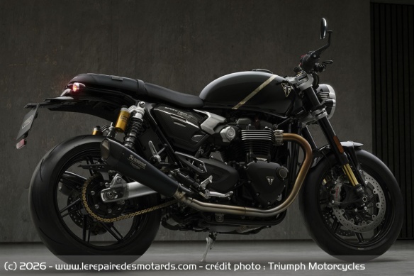 Néo-rétro Triumph Speed Twin 1200 TFC