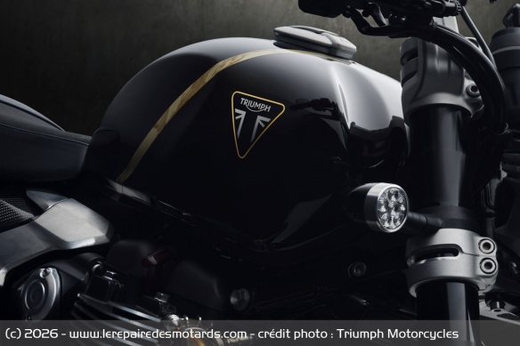 Néo-rétro Triumph Speed Twin 1200 TFC