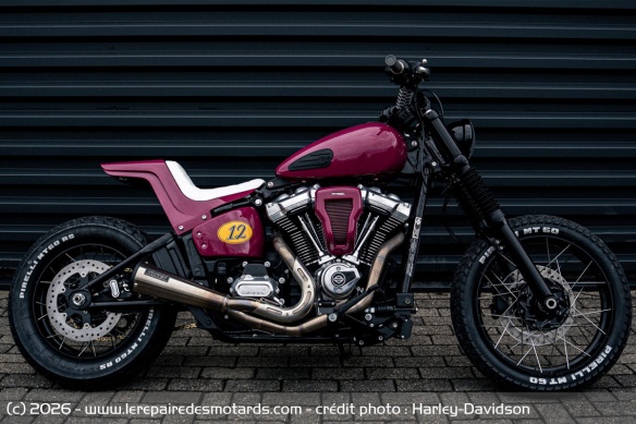 Pays-Bas - Arjan van den Boom | Street Bob