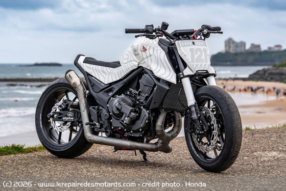 White Venom - Honda Allemagne
