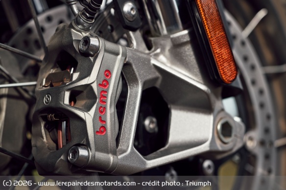 Trail Triumph Tiger 1200 2027