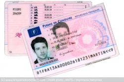 Lutte contre la fraude au Code de la route