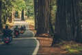 March� moto   Reprise confirm�e Europe