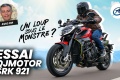 Essai roadster QJMOTOR SRK 921