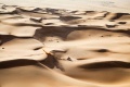 Dakar   2e victoire �tape Benavides