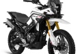 Trail Cyclone RX2 125