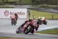 WSBK   Tripl� Bulega Australie