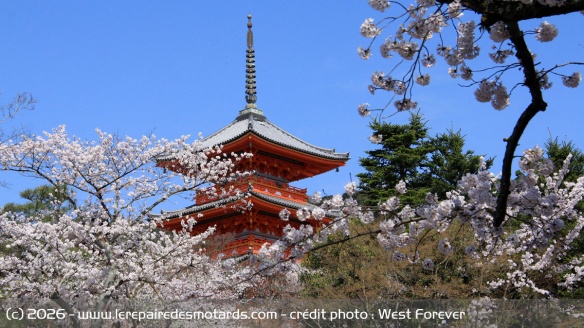 Le Yokoso Tour de West Forever