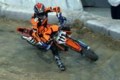 Guidon Or Bercy 2005