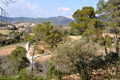 Les Gorges Nesque