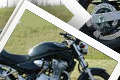 Suzuki Bandit Album photos