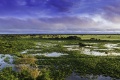 Brsil   Mto climat
