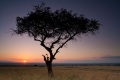 Kenya Liens utiles