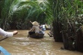 Vietnam météo climat