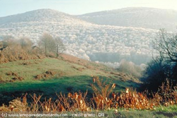 Balade en Morvan: paysage brumeux