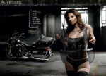 Calendrier sexy HD