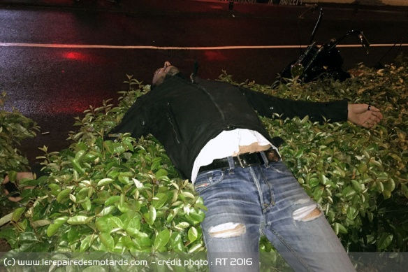 Jé dans un buisson à Biarritz 