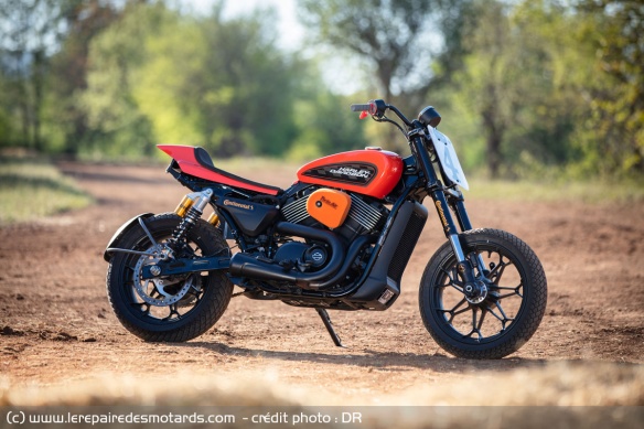 Harley Davidson Street Rod préparée pour le flat-track