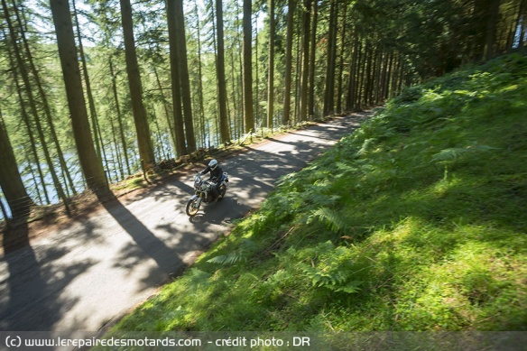 Traverser la forêt en gros trail