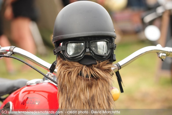 Le jet, c'est pratique pour la barbe