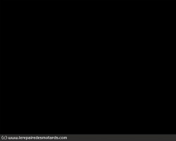 Drapeau noir