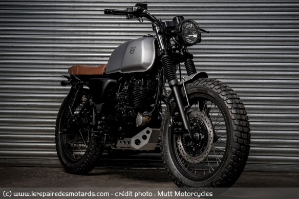 Mutt Akita 250