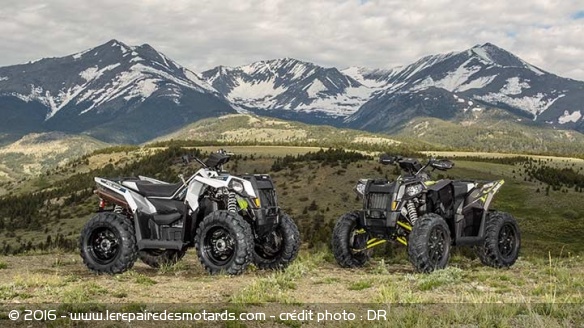 Polaris : quads