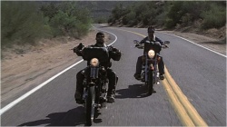 Film moto : Born to ride