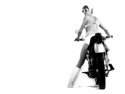 Film moto : Le credo de la violence