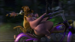 Film moto : la ferme en folie