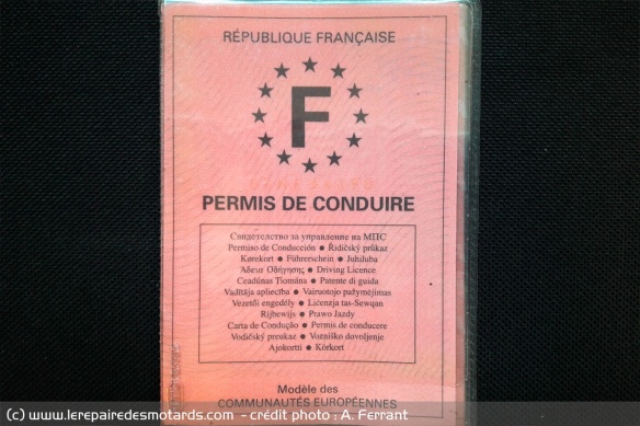 Permis A2 : Quelles motos pour les jeunes permis ?