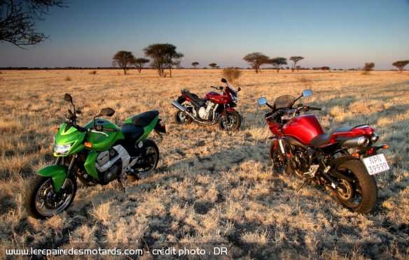 Génération Z 750 & Z 800, comparo de la 750 avec des roadsters 600