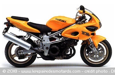 Le top 10 des motos promises à une brillante carrière : TL1000S