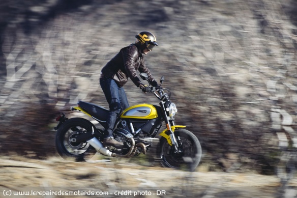 Ducati Scrambler Icon