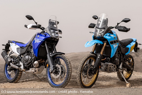 Yamaha Ténéré 700 standard et Rally - 2.912 immatriculations