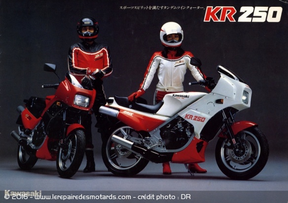 Kawasaki KR 250