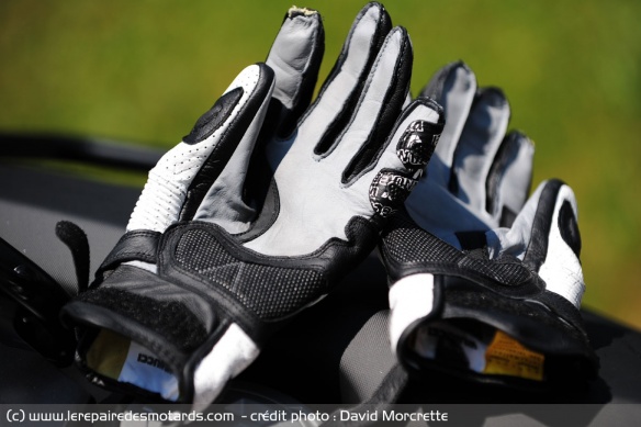 La paume des gants sport Vanucci