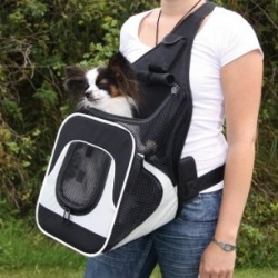 Sac ventral Savina de transport de chien à moto