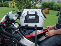 transport de chien sur une moto avec le Sport Bag Pet Ego 