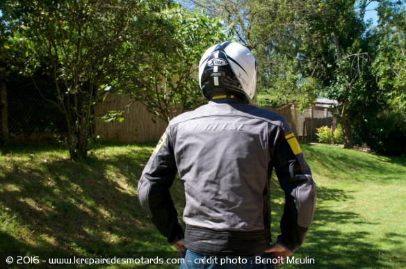 Le blouson Dainese Blackjack de dos