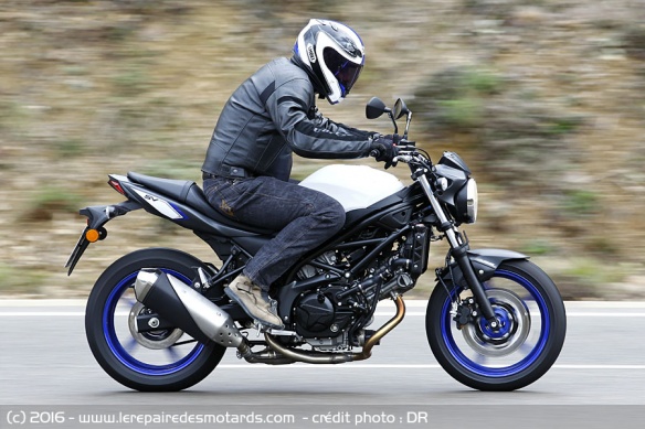 Essai : blouson Dainese Stripes Evo C2 sur une Suzuki SV
