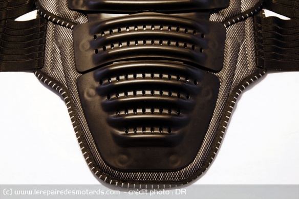 La dorsale couvre le dos de la nuque au coccyx