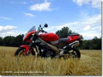 Aprilia Tuono 1000