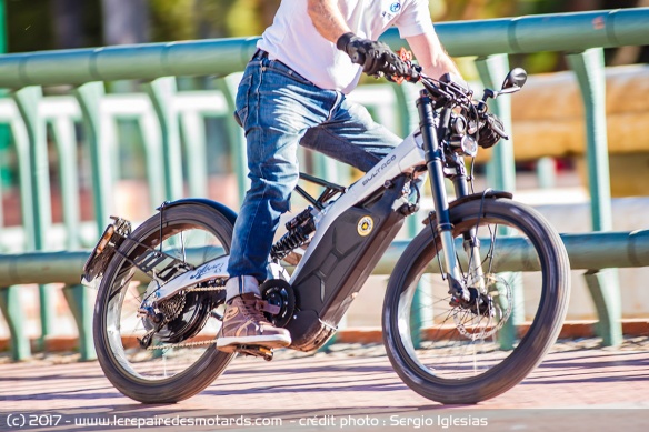 Batterie Bultaco Albero