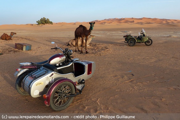 Triumph Scrambler Yéti vs Ural Scrambler EFI 2WD vs dromadaire