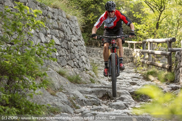 Mountain bike