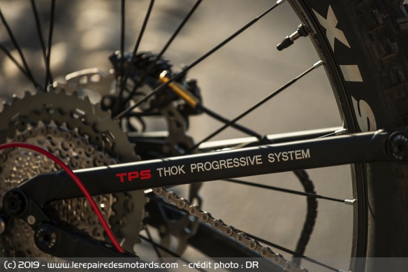 TPS Thok Progressive System